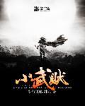 小武贼的江湖