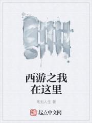 我在西游有
