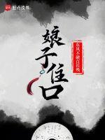 歌曲 娘子