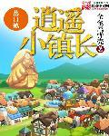 逍遥小镇长TXT奇书